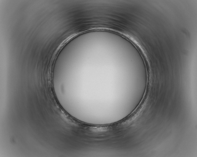 X0000113351145200909151021