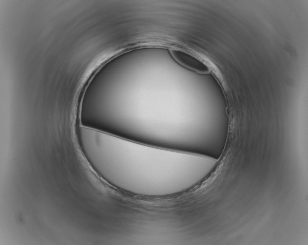 X0000113351146200909151021