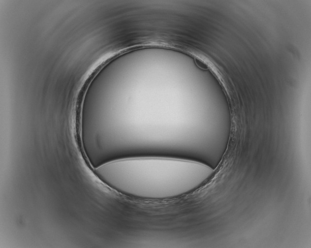 X0000113351147200909151021