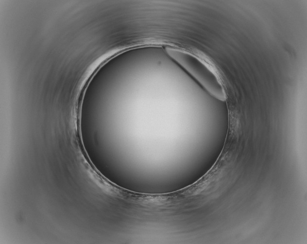 X0000113351148200909151021