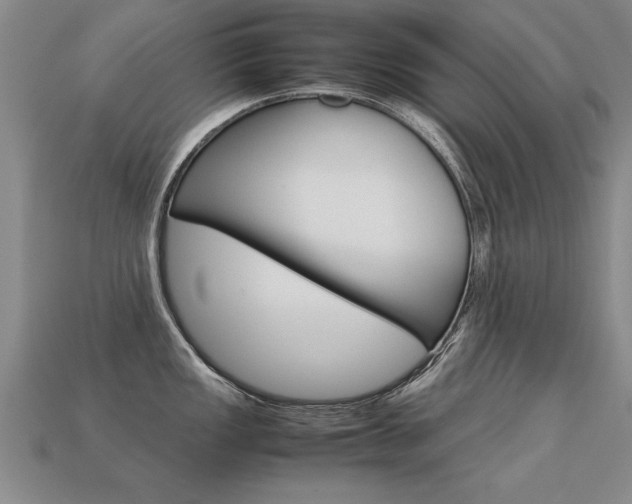 X0000113351149200909151021