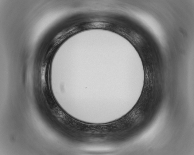 X0000113351150200909151021