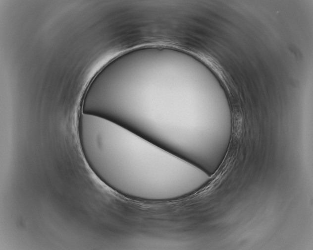 X0000113351151200909151021