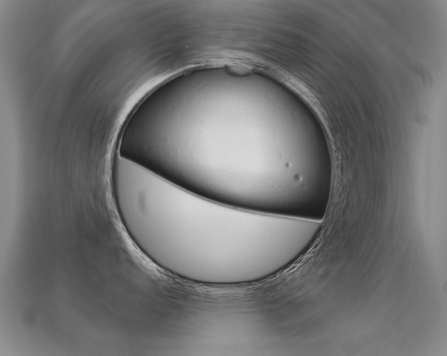 X0000113351152200909151021