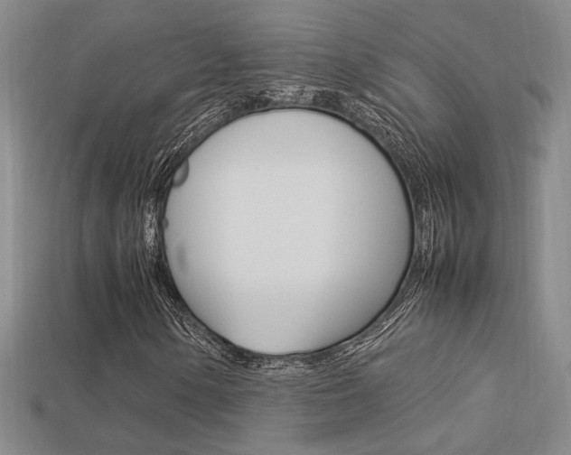 X0000113351154200909151020