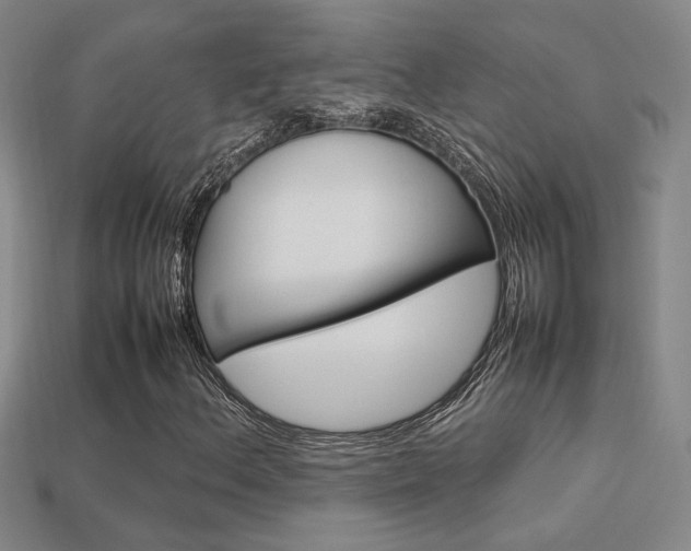 X0000113351156200909151020