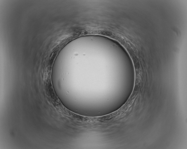 X0000113351157200909151020