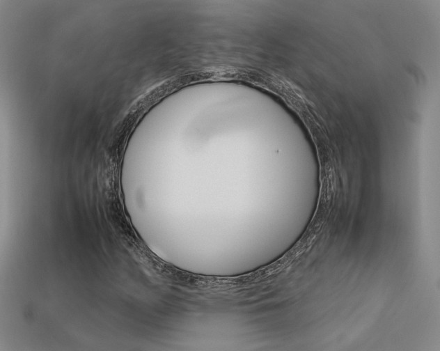 X0000113351158200909151020