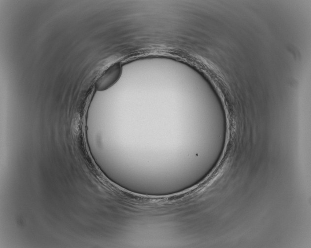 X0000113351161200909151020