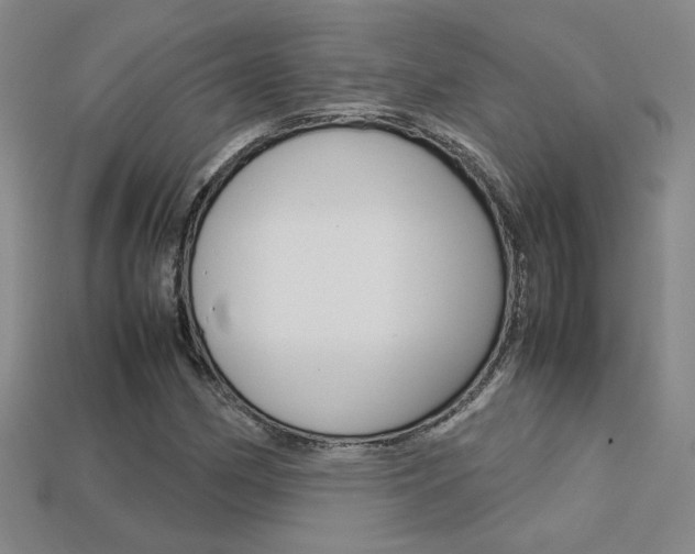 X0000113351162200909151020