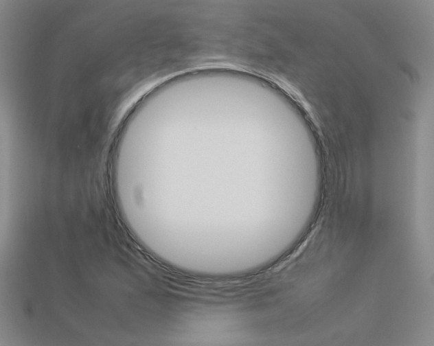 X0000113351167200909151020