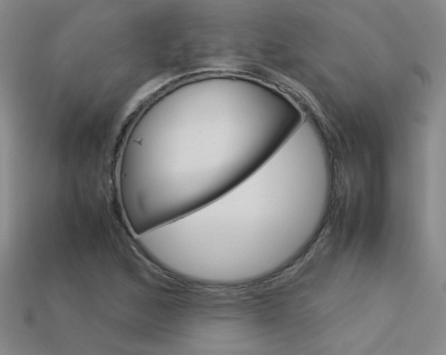 X0000113351168200909151020