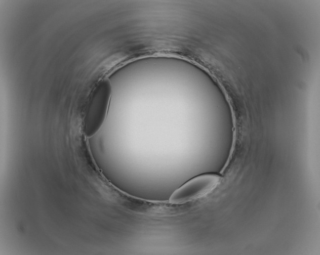 X0000113351169200909151020
