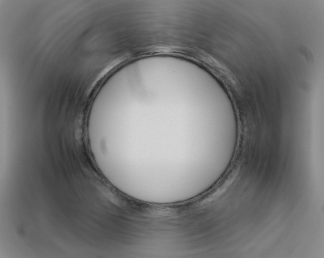 X0000113351170200909151020