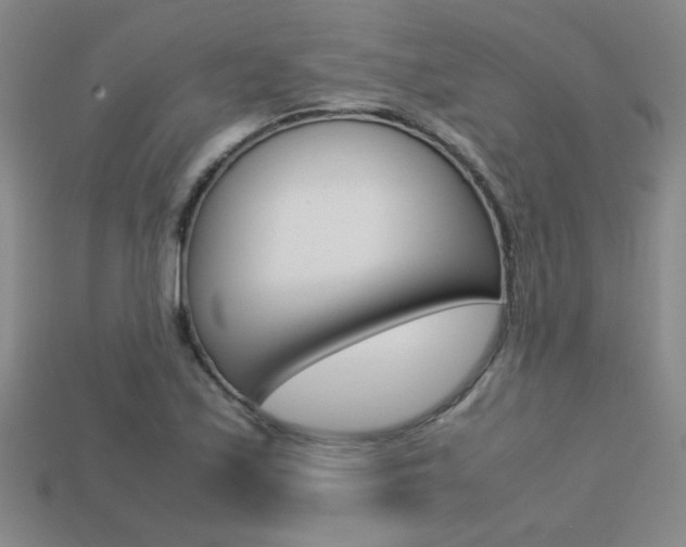X0000113351171200909151020