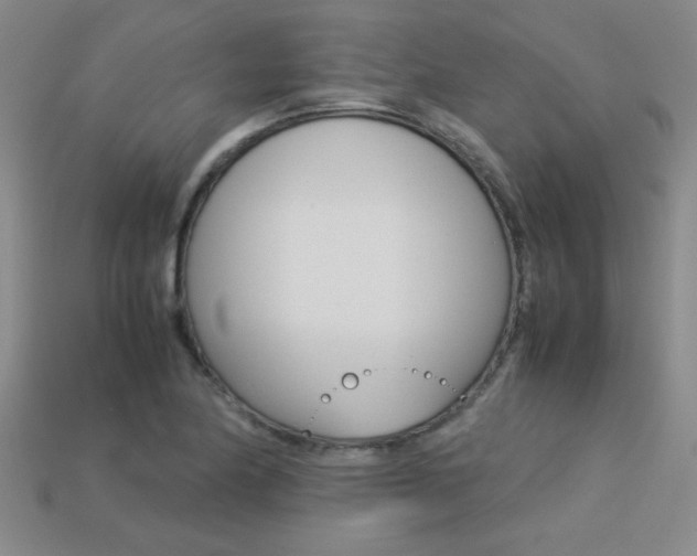 X0000113351174200909151020