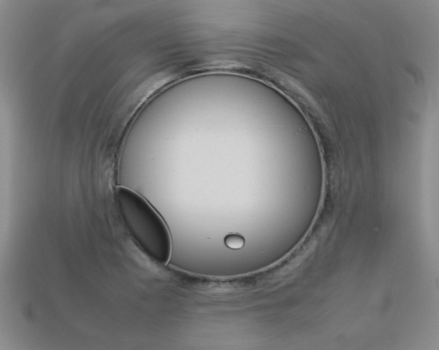 X0000113351177200909151020