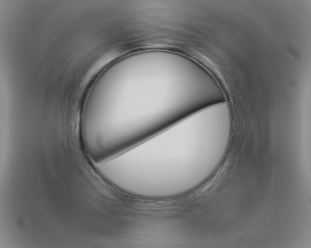 X0000113351179200909151020