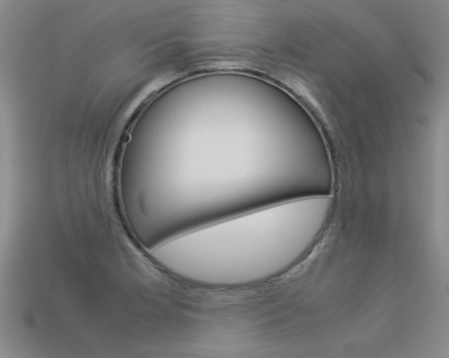X0000113351181200909151020