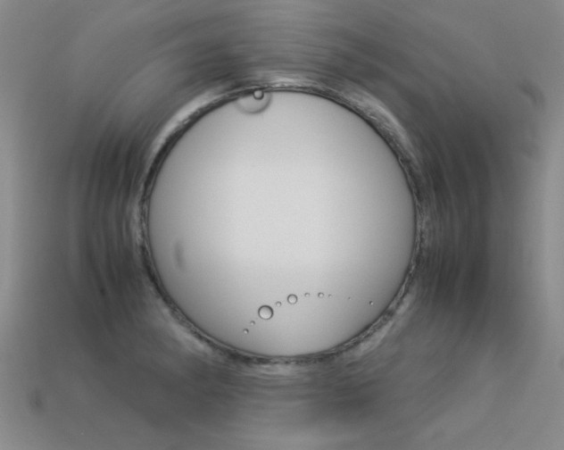X0000113351182200909151020