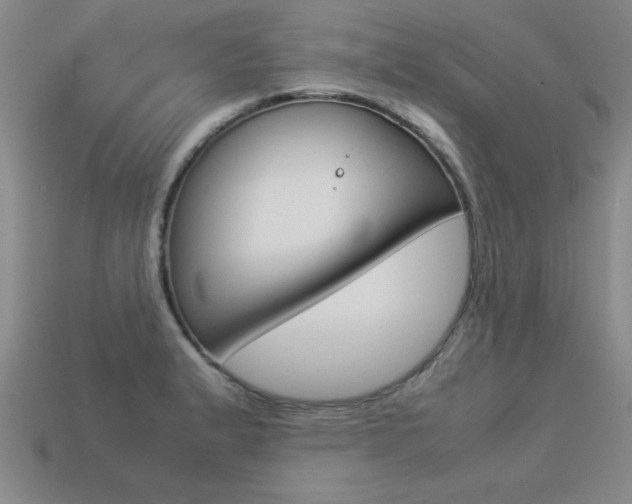 X0000113351183200909151020