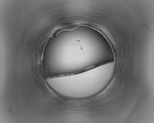 X0000113351185200909151020