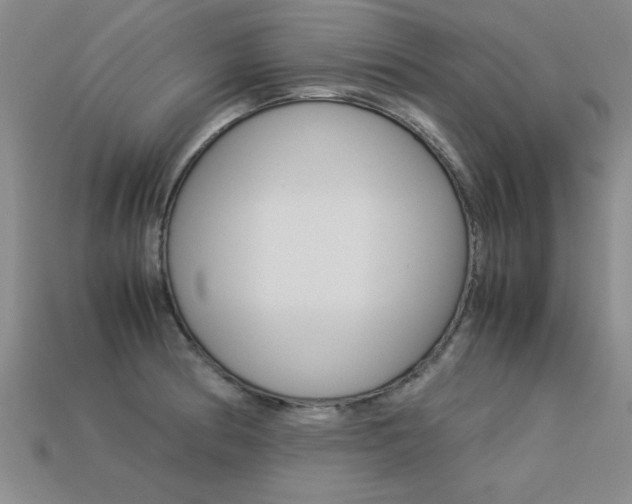 X0000113351186200909151020