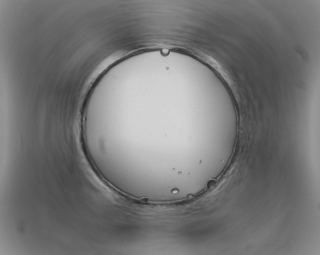 X0000113351187200909151020