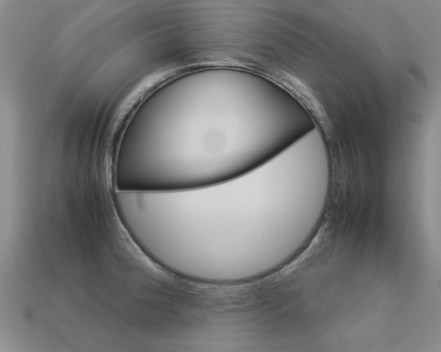 X0000113351188200909151020