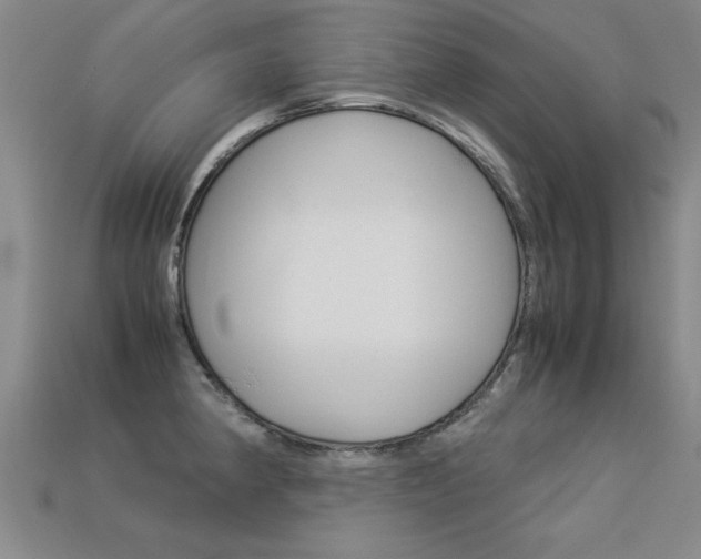 X0000113351190200909151020