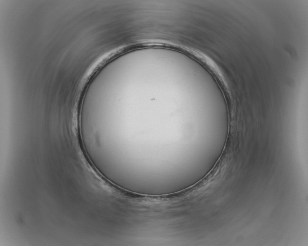 X0000113351191200909151020