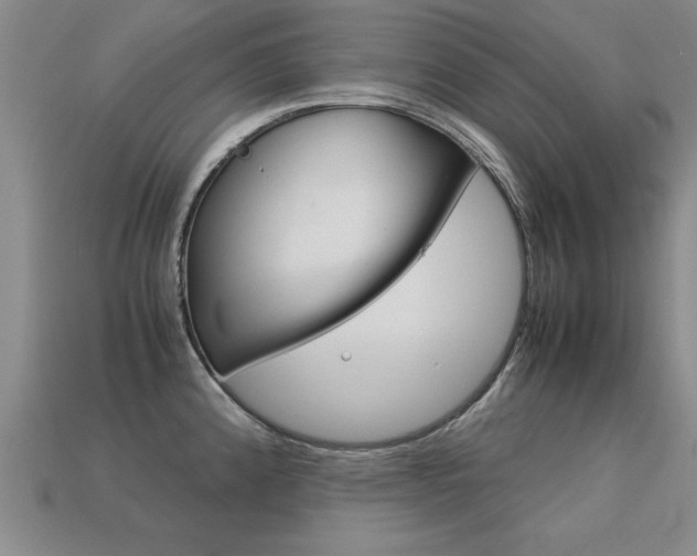 X0000113351192200909151020