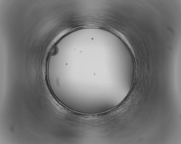 X0000113351195200909151020
