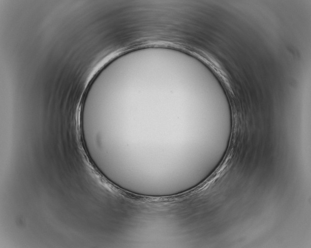 X0000113351198200909151020