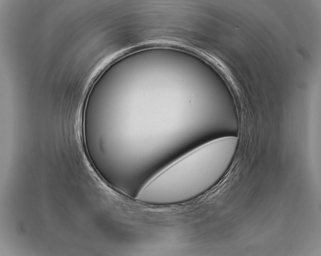 X0000113351199200909151020