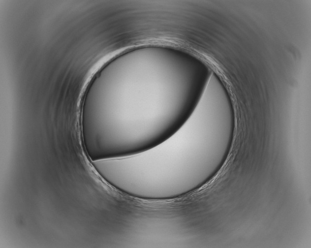 X0000113351200200909151020