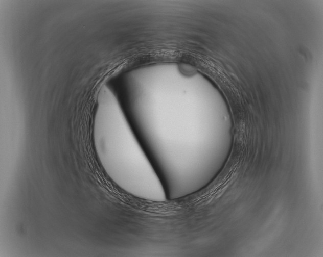 X0000113351201200909151019