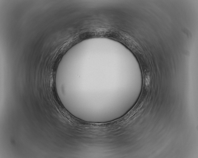 X0000113351204200909151019