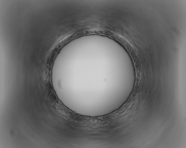 X0000113351207200909151019