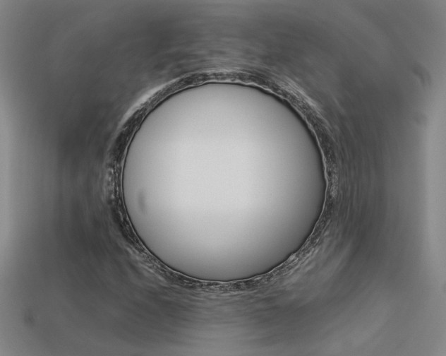 X0000113351208200909151019
