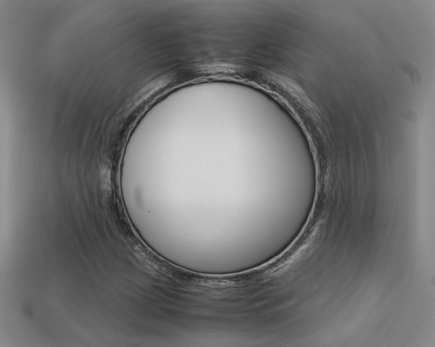 X0000113351209200909151019