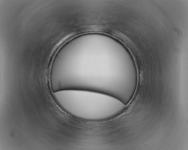 X0000113351212200909151019