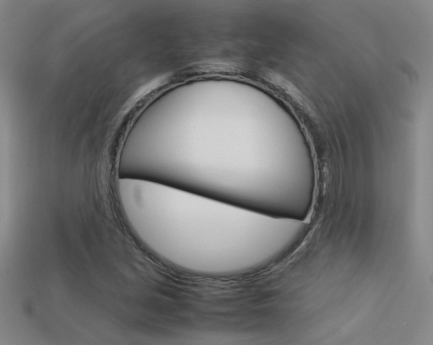 X0000113351213200909151019