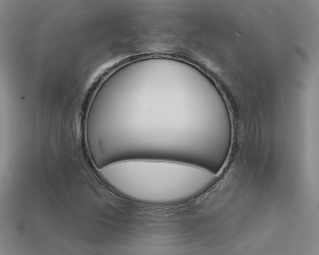 X0000113351214200909151019