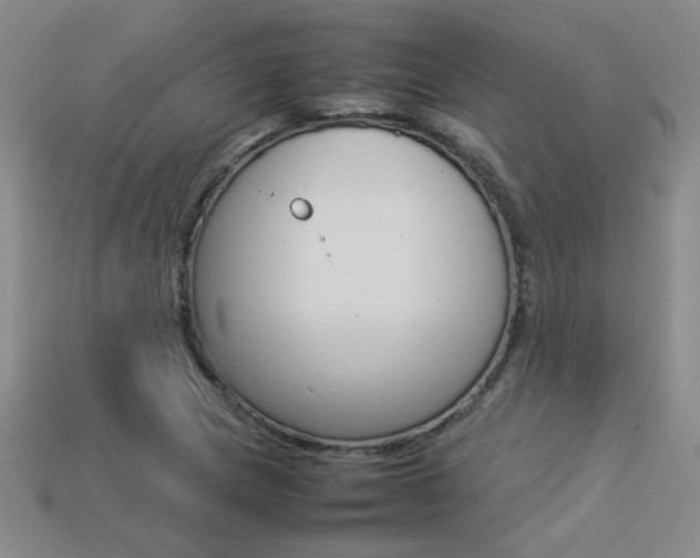 X0000113351217200909151019