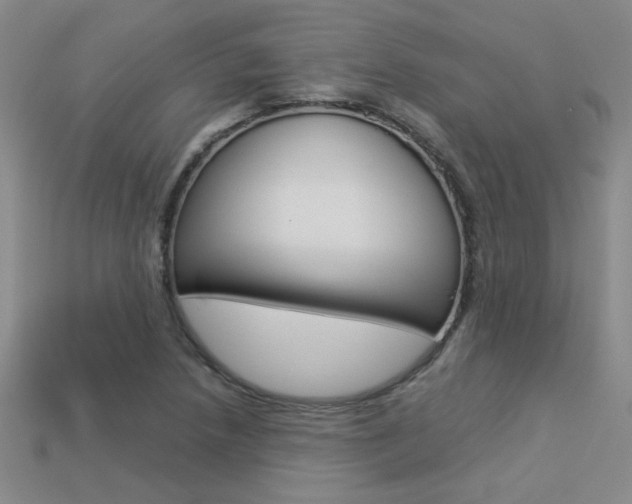 X0000113351218200909151019