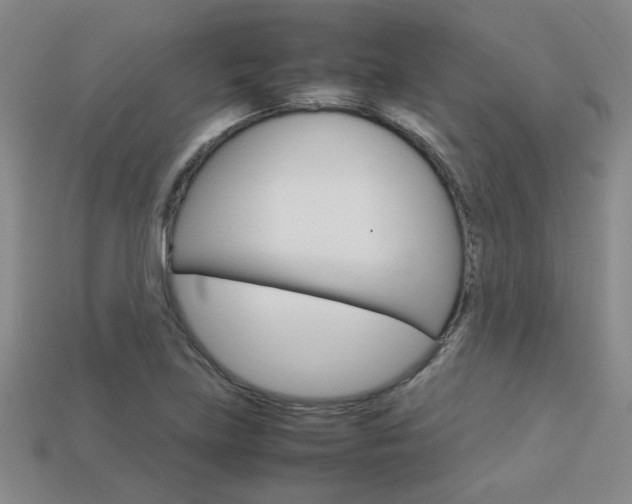 X0000113351219200909151019