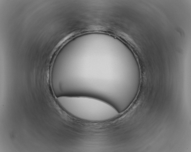 X0000113351220200909151019