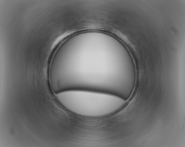 X0000113351222200909151019