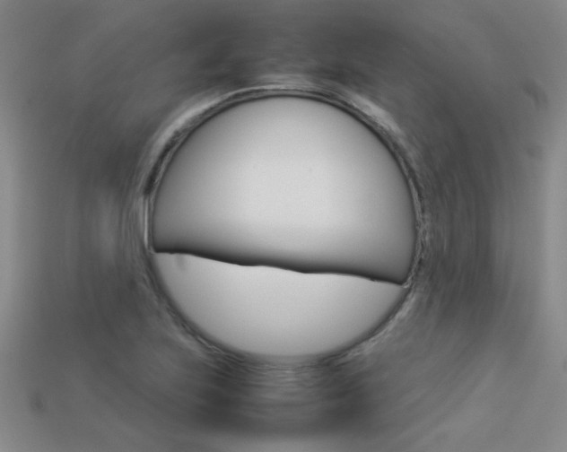 X0000113351223200909151019